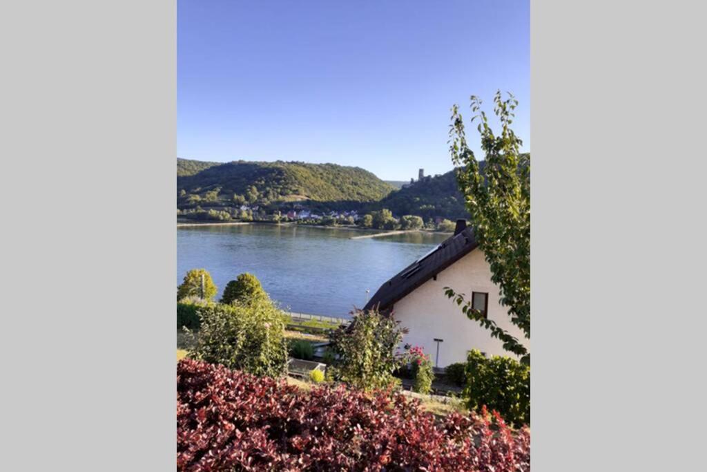 Appartement Lorch Lorchhausen Mittelrheintal Weltkulturerbe *